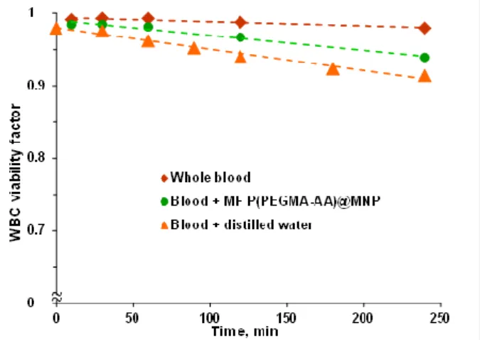 Figure 9. Changes in white blood cell viability factor as a function of time in whole blood and blood  diluted with magnetic fluid (the P(PEGMA)@MNP concentration in blood is 0.4 mg/mL) and distilled  water