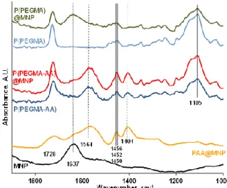 Figure 3. FT-IR absorption spectra of P(PEGMA-AA) and P(PEGMA) before and after adsorption on  MNP  in  the  range  of  1000–1900  cm −1 