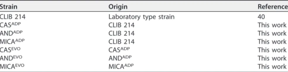 TABLE 2 C. parapsilosis strains used in this study