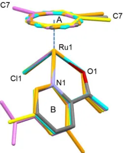 Figure 2. Comparison of molecular structures of Ru(II)(η 6 -toluene) picolinate complexes 1 (colored by  element),  2  (orange),  3  (yellow),  5  (violet)  together  with  [Ru( 6 -C 6 H 6 )(pic)(Cl)]  (CSD  Ref