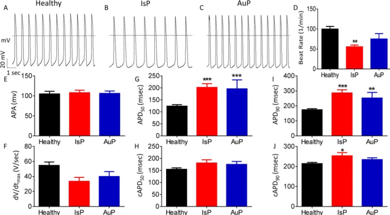 Fig 1. Action potential (AP) characteristics of healthy and mutated (IsP and AuP) iPSC-CM