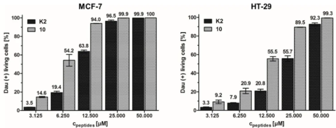 Figure 2. Degradation of the GnRH-III conjugates K2 and 10 in presence of lysosomal rat liver homogenate