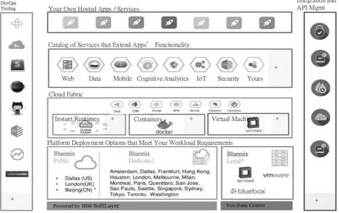 Figure 5.  IBM Cloud Bluemix – Innovation platform. 