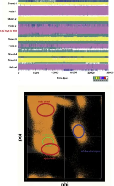 Fig. 5. (a) The evolution of secondary structure of CaHa-Trx-H with time during MD simulations