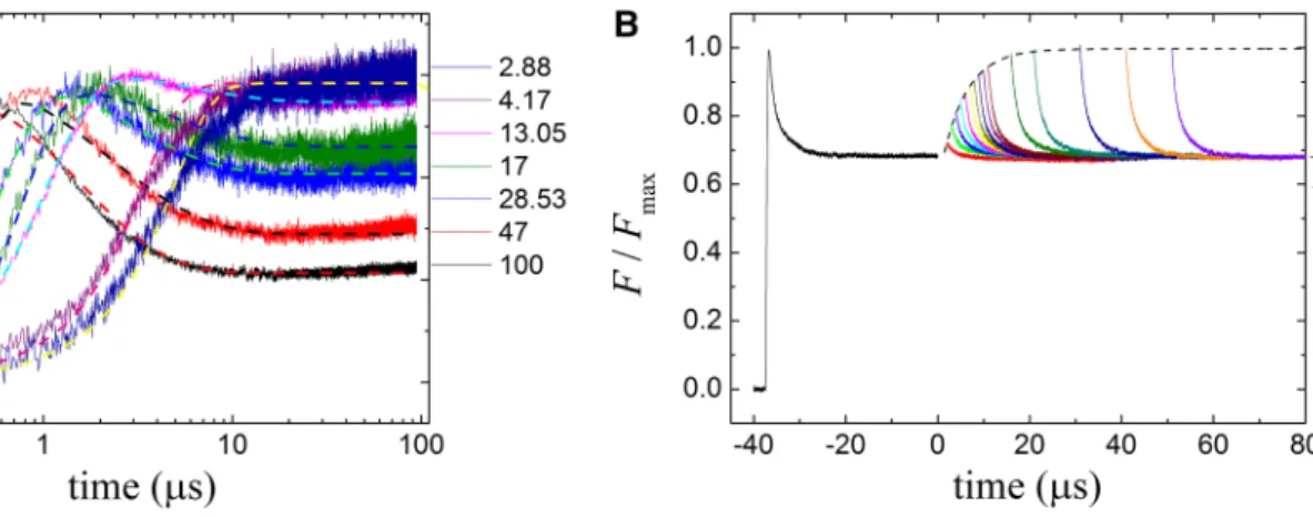 Fig. 3    Kinetics of the yield of BChl fluorescence from whole cells  of Rba. sphaeroides under single flash (a) and double-flash (b)  exci-tation