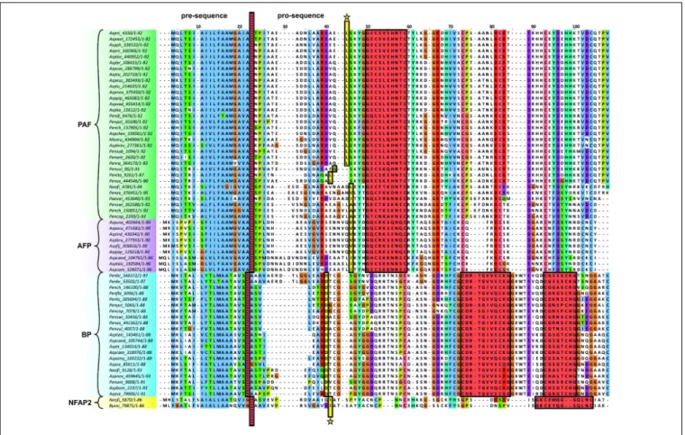 FIGURE 8 | Clustal W multiple alignment of the putative AMPs from Eurotiomycetes. Dotted red line indicates the cleavage site of the predicted signal sequence.