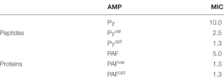 TABLE 1 | MICs of PAF peptide and protein variants.
