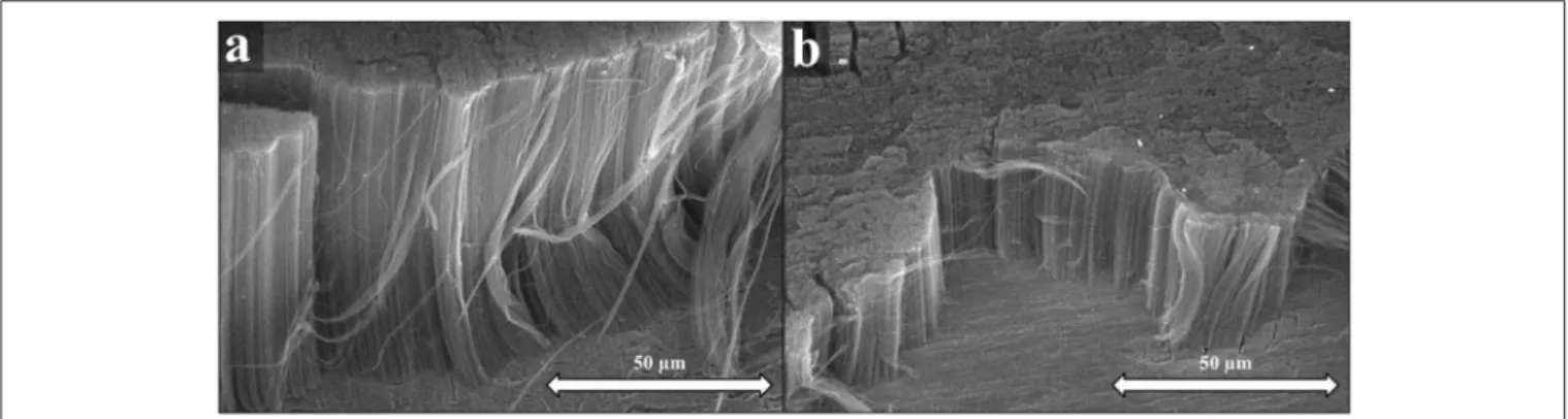 FIGURE 1 | SEM images of CNT forests synthesized with Al 2 O 3 oxide support (a), SEM images of CNT forests synthesized without Al 2 O 3 oxide support (b).