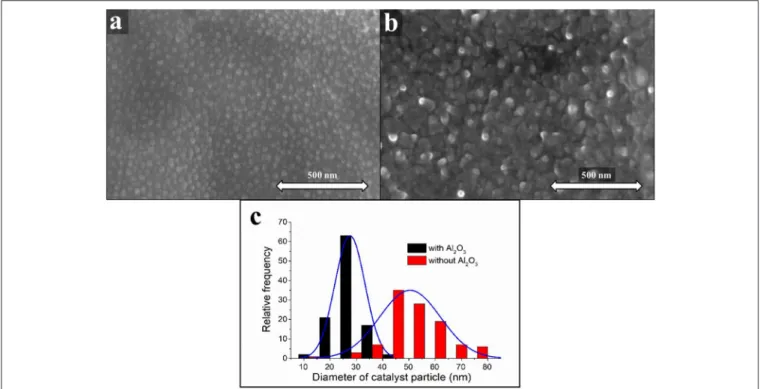 FIGURE 3 | SEM images of CNT forests pre-synthesized with (a) and without Al 2 O 3 oxide support (b)