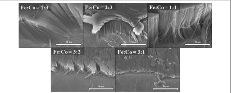 FIGURE 5 | SEM images of CNT forests synthesized at various catalyst ratios with Al 2 O 3 oxide layer on titanium support.