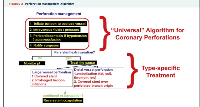 FIGURE 2 Perforation Management Algorithm