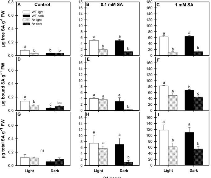 Fig. 1. Changes in free, bound and total methanol-soluble salicylic acid (SA) content in the leaves of wild type (WT, open columns) and ethylene receptor mutant Never ripe (Nr, latticed columns) tomato plants treated with 0.1 mM or 1 mM SA for 24 h in the 