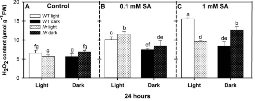 Fig. 2. Changes in H 2 O 2 content in the leaves of wild type (WT, open columns) and ethylene receptor mutant Never ripe (Nr, latticed columns) tomato plants treated with 0.1 mM or 1 mM SA for 24 h in the presence or absence of light (□ Light, ■ Dark)