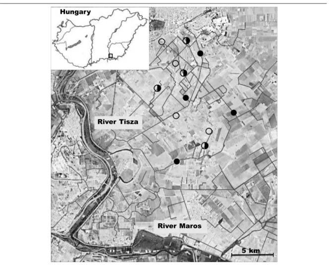 Fig. 1. En el mapa esquemático de Hungría (esquina superior izquierda), el cuadrado vacío representa  la localidad de la zona de estudio