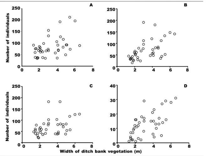 Fig. 4. The relationship between the width of ditch bank vegetation and the abundance of: A, Caelifera; 