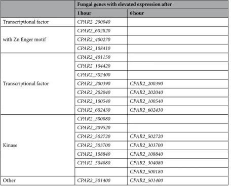 Table 1.  Targets of the C. parapsilosis deletion mutant library.