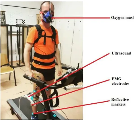 Figure 2. Measurement equipments mounted on a participant before the treadmill running  test