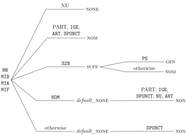 Figure 2.2. Decision tree summarising the rules applied to singular adjectives and partici- partici-ples