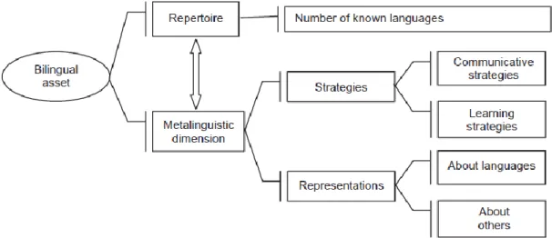 Figure 1.1 The bilingual asset in L3 learning by Bono &amp; Stratilaki (2009) 