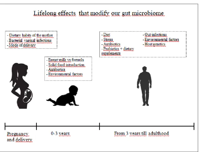 Figure 5. Lifelong effects that modify our microbiome 