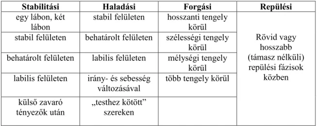 Hirtz és munkatársai (2004) négy féle testi egyensúlyt említenek (1. táblázat).  