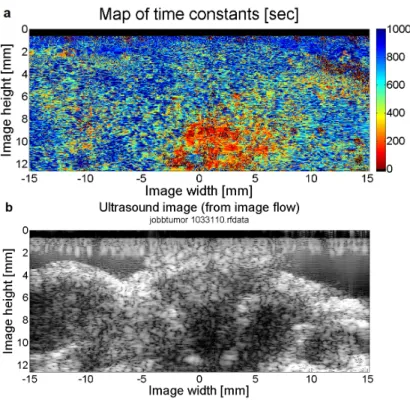 Figure 2.6: Spatial map of pixel-wise dynamics – characterized by time constants calculated from fitted exponential curves – (a) compared with a (typical) B-mode (brightness-mode) ultrasound image from an image  se-quence of 53 minutes with 10.6 seconds te