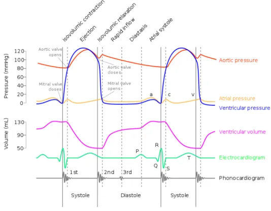 Figure 2.5: Events during a cardiac cycle with different modalities.