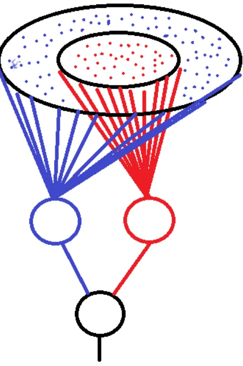 5. ábra Antagonista felépítés, a piros és a kék ellentétes (ON, vagy OFF) információt gyűjt 