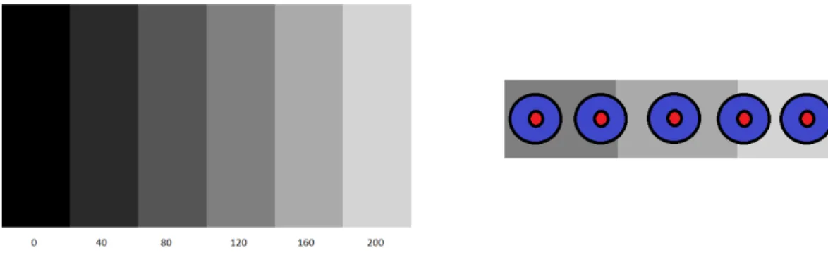 6. ábra A Hermann rácsra tekintve a rácspontokon a nem fókuszban, vagy közelében lévő rácshelyeken sötét  pontok láthatóak.( [3] alapján )