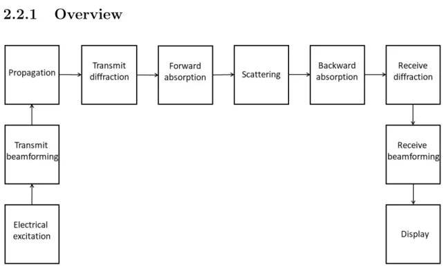 Figure 2.7: Block diagram of US image formation listing the major processes. Image is based on [70, p