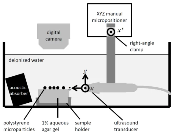 Figure 3.1: Schematic diagram of experimental setup. 49-μm-diameter polystyrene microspheres are resting on the surface of a 1% agar gel