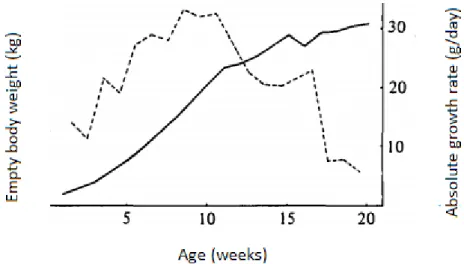 Figure 1. Evolution of empty body weight with age (  ) and absolute  growth rate (----)