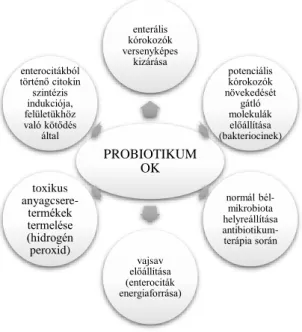 3. ábra. A  probiotikumok hatásmechanizmusai (Kaur és mtsai., 2002 alapján) 