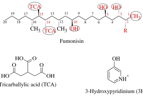 Figure 1: Chemical structure of fumonisins  3.1.2. The metabolized fumonisin products and their toxicity 