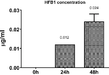 Figure 3. Hydrolysed Fumonisin B 1  concentration in experimental groups during the  incubation time
