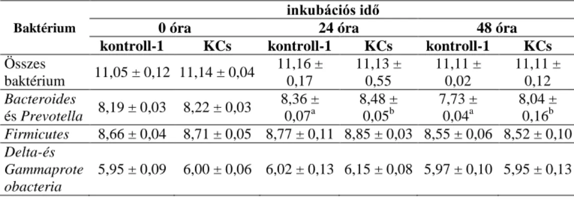 6. táblázat: qPCR-rel meghatározott baktériumszám (log 10  kópiaszám/g, átlag ± SD) a  feltűntetett inkubációs idők alkalmazásával fumonizin B 1  -gyel (kísérleti csoport; KCs)  és anélkül (kontroll-1 csoport) 