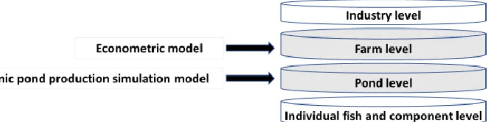 Figure  1.    Potential  levels  of  model-based  analysis  of  pond  aquaculture  production