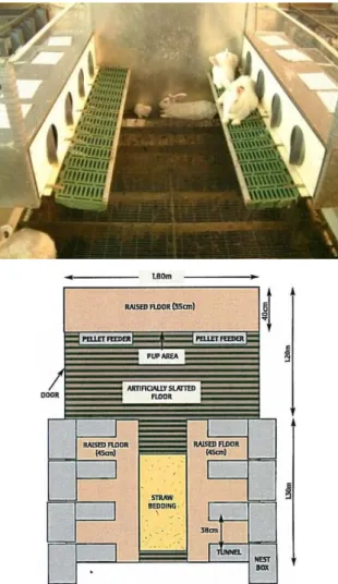 Figure 4: Dutch group-housing system 