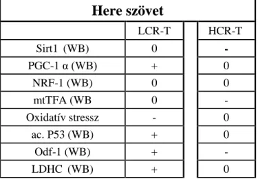 6. táblázat 