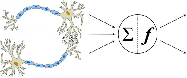 2.4. ábra Neuron modellezése [25]