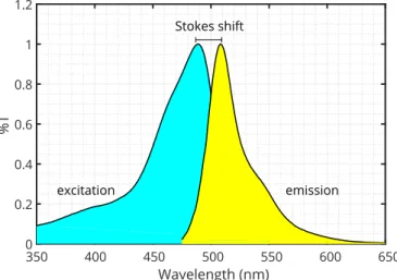 Figure 1.2: Excitation and emission spectrum of enhanced green fluorescent protein (EGFP).