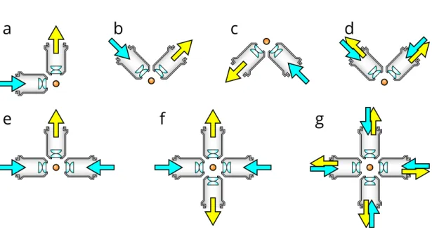 Figure 1.11: Different optical arrangements for light-sheet microscopy. (a) Original SPIM design with a single lens for detection and illumination