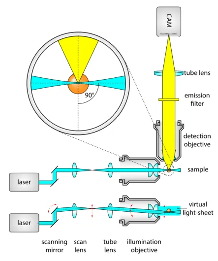 Figure 1.14: DSLM illumination. DSLM illuminates a specimen by a circularly-symmetric beam that is scanned over the field of view