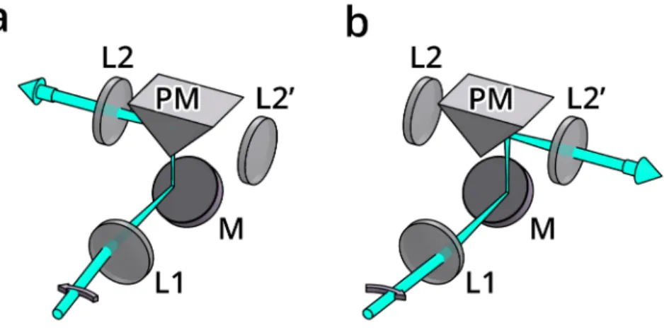 Figure 2.5: Illumination branch splitting unit. To divert the beam to either side, a right angle prism mirror is used in conjunction with a galvanometric scanning mirror