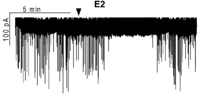 Figure 6. Effect of estradiol on the action current firing  of  GnRH  neurons  of  metestrous  female  mice  (a  representative recording)