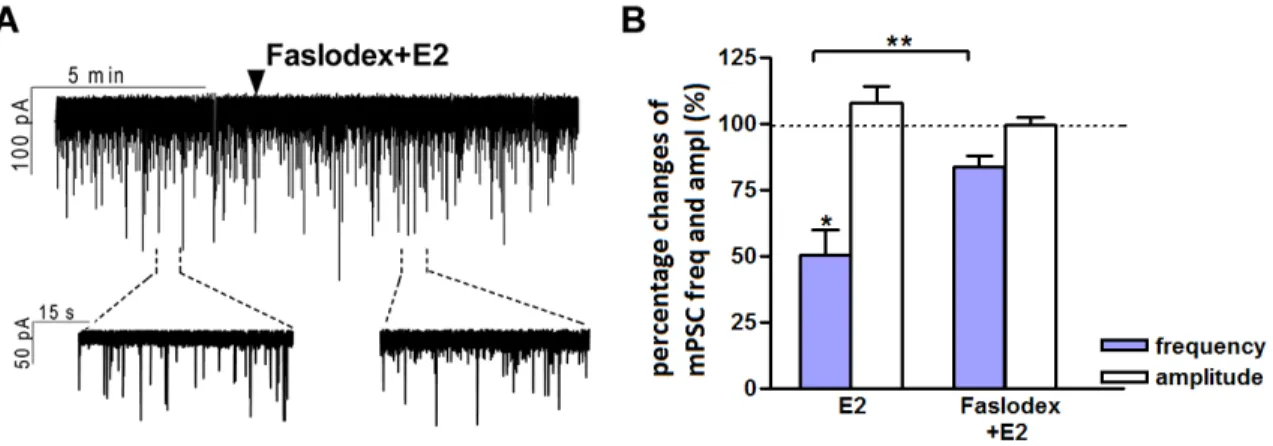 Figure 8. Effect of estradiol on the miniature postsynaptic currents of GnRH neurons in  the presence of non-selective estrogen receptor antagonist