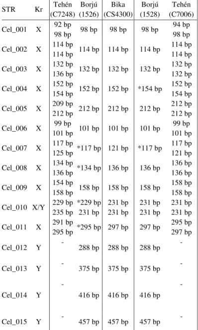 4. táblázat. Az ivari kromoszómás markerek öröklődésének szemléltetése az  allélnagyságok megadásával egy-egy gímszarvas szülőpár és bika borjuk esetében