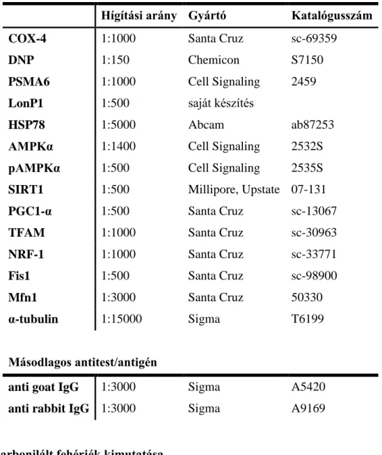 1. táblázat A vizsgálat során felhasznált elsődleges és másodlagos antitestek  Elsődleges antitest/antigén 