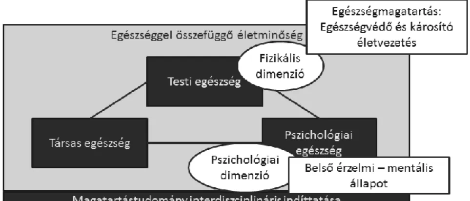 2. ábra: Az életminőség felsőoktatásban vizsgált területei 