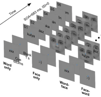 Figure 3.1 Schematic of the four trial types corresponding to the four experimental conditions